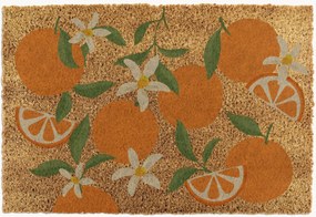 Tapete de entrada em coco Orange