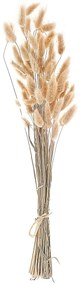 Ramo de flores secas cor natural 58 cm SANABRIA Beliani