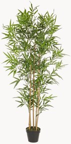 Plantas artificiais Bamboo, conjunto de 2