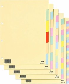 Separadores de Cartolina RIVA A4 6 Posições com Abas Coloridas 180 g para Arquivo