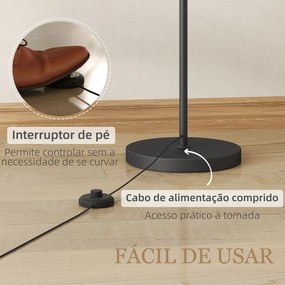 Candeeiro de Pé com Temperatura de Cor de Ajuste Contínuo 11 Níveis Comando à Distância Temporizador de 60 Minutos 54,3x30,6x159,6 cm Preto