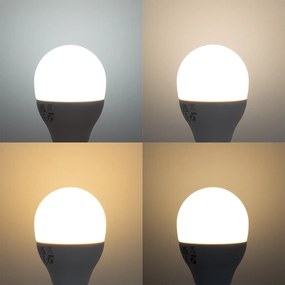 Lâmpada LED inteligente E14 regulável G45 4,9W 470lm 2700K-6500K