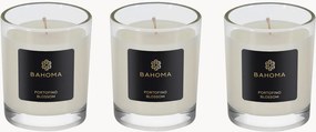 Conjunto de velas de viagem Pearl Portofino Blossom