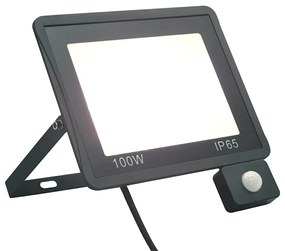 Projetor c/ iluminação LED e sensor 100 W branco frio