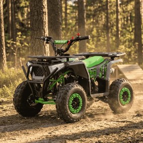 MINI MOTO 4 GASOLINA PARA CRIANÇAS Bull 49cc tipo ATV Verde