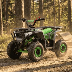 MINI MOTO 4 GASOLINA PARA CRIANÇAS Bull 49cc tipo ATV Verde