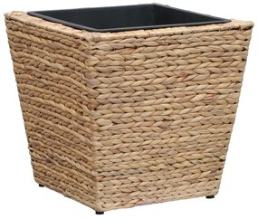 Vasos/floreiras 3 pcs jacinto de água