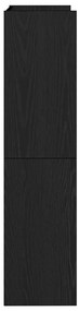 Sapateira 60x25x100 cm derivados de madeira preto