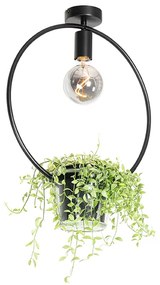 Candeeiro de teto moderno preto com vidro redondo - Roslini Moderno