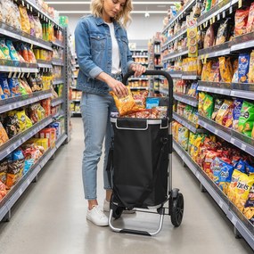 Carrinho de compras dobrável de 40 L, carrinho de compras portátil com Rodas e pega telescópica, 45,5 x 35,5 x 97 cm, preto