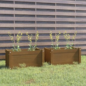 vidaXL Vasos/floreiras 2 pcs 60x31x31 cm pinho maciço castanho mel