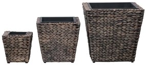 Vasos/floreiras 3 pcs jacinto de água castanho
