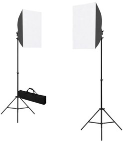 190216 vidaXL Iluminação de estúdio profissional 2 pcs 40x60 cm aço preto