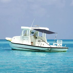vidaXL Extensão de toldo em T 170x208x(115-183) cm azul-marinho