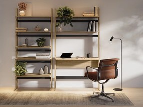 Conjunto para escritório em casa Feleliu 107