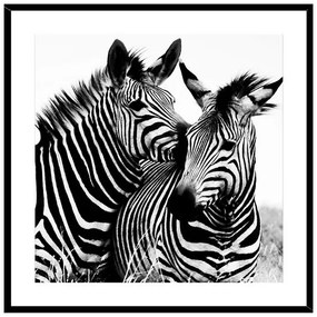 Pintura Cristal (2 X 50 X 50 cm) Zebra
