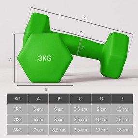 SPORTNOW Jogo de Halteres 2x1 kg 2x2 kg 2x3 kg Conjunto de Halteres He
