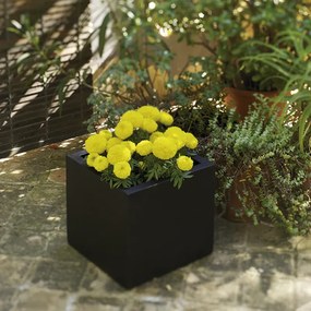 Vaso de flores colorido quadrado Polietileno CASA, JARDIM, RESTAURANTE, BAR NARCISO 35 (35x35x32 cm) - Branco