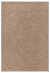 vidaXL Tapete de pelo curto 200x290 cm castanho