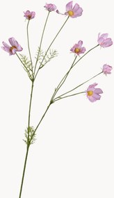 Ramos artificiais Cosmos, conjunto de 2