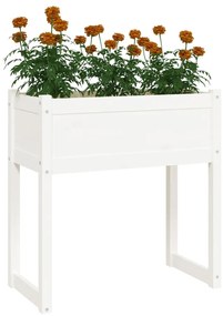 Vaso/floreira 78x40x81 cm pinho maciço branco
