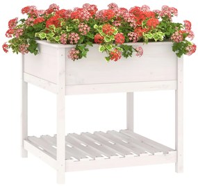Vaso/floreira com prateleira 82,5x82,5x81cm pinho maciço branco