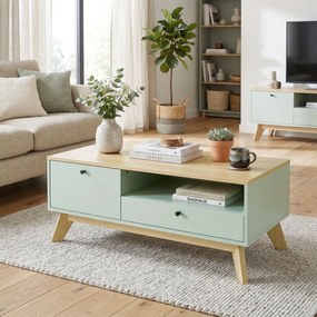 Mesa de centro, 100  x 50  x 40 cm retangular com gaveta, porta e compartimento aberto, verde claro e cor carvalho