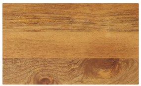 vidaXL Tampo de mesa retangular 50x40x3,8 cm mangueira maciça