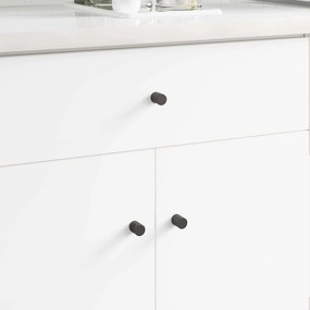 vidaXL Knob de Armário 1011 pcs Preto Ferro