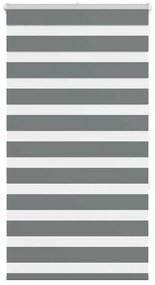 vidaXL Cortina de zebra 75x150 cm largura do tecido 70,9 cm poliéster