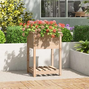 vidaXL Vaso/floreira com prateleira 54x54x81 cm pinho maciço