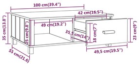 Mesa de centro HAMAR 100x55x35 cm pinho maciço cinza-claro