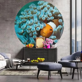 WallArt Papel de parede circular "Nemo the Anemonefish" 190 cm
