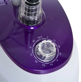 Ferro de Engomar a Vapor com Depósito de 1,8 L e Temperatura Ajustável 11 Níveis 1800 W - 21,5x30x150 cm