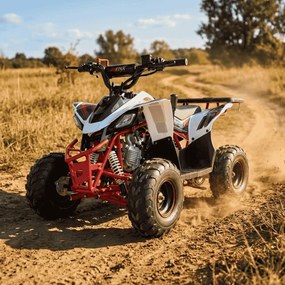 MINI MOTO 4 INFANTIL GASOLINA 125cc 6'' PREDATOR VERMELHA