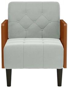 Poltrona com apoio de braços 55 cm veludo cinzento-claro