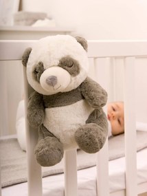 Luz de presença Peaceful Panda da CLOUD B preto claro liso