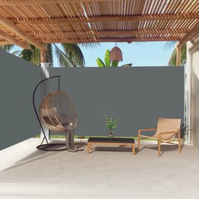 vidaXL Toldo lateral retrátil 200x600 cm antracite