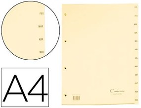 Separador Cartonex de Cartolina Mes Jan-Dez