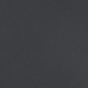 Toldo lateral retrátil 160x1000 cm preto