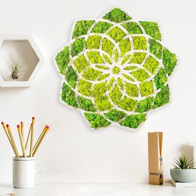 Acessório Decorativo de Parede Daisy – Verde/Branco – 44 x 1,6 x 44 cm