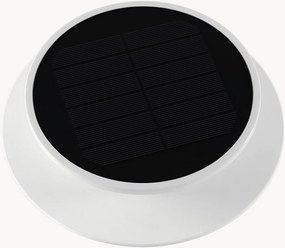 Projetor LED solar com espigão Solia