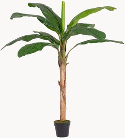 Planta artificial para exterior Banana, Alt 180 cm
