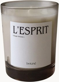 Vela perfumada L'esprit (agulhas de pinheiro, cedro, incenso e notas vegetais verdes)