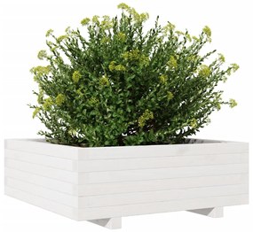 Vaso/floreira de jardim 70x70x26,5 cm pinho maciço branco