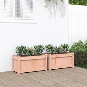 vidaXL Vasos/floreiras de jardim 2 pcs madeira de douglas maciça