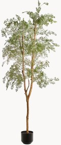 Planta artificial Leaf