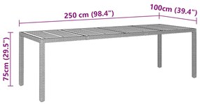 11 pcs conjunto de jantar para jardim vime PE cinzento