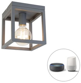 LED Candeeiro de teto inteligente industrial cinzento escuro incl. Wifi G95 - Cage Moderno,Design,Industrial