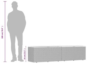 Caixa arrumação jardim 220x50x54 cm vime PE/acácia maciça preto